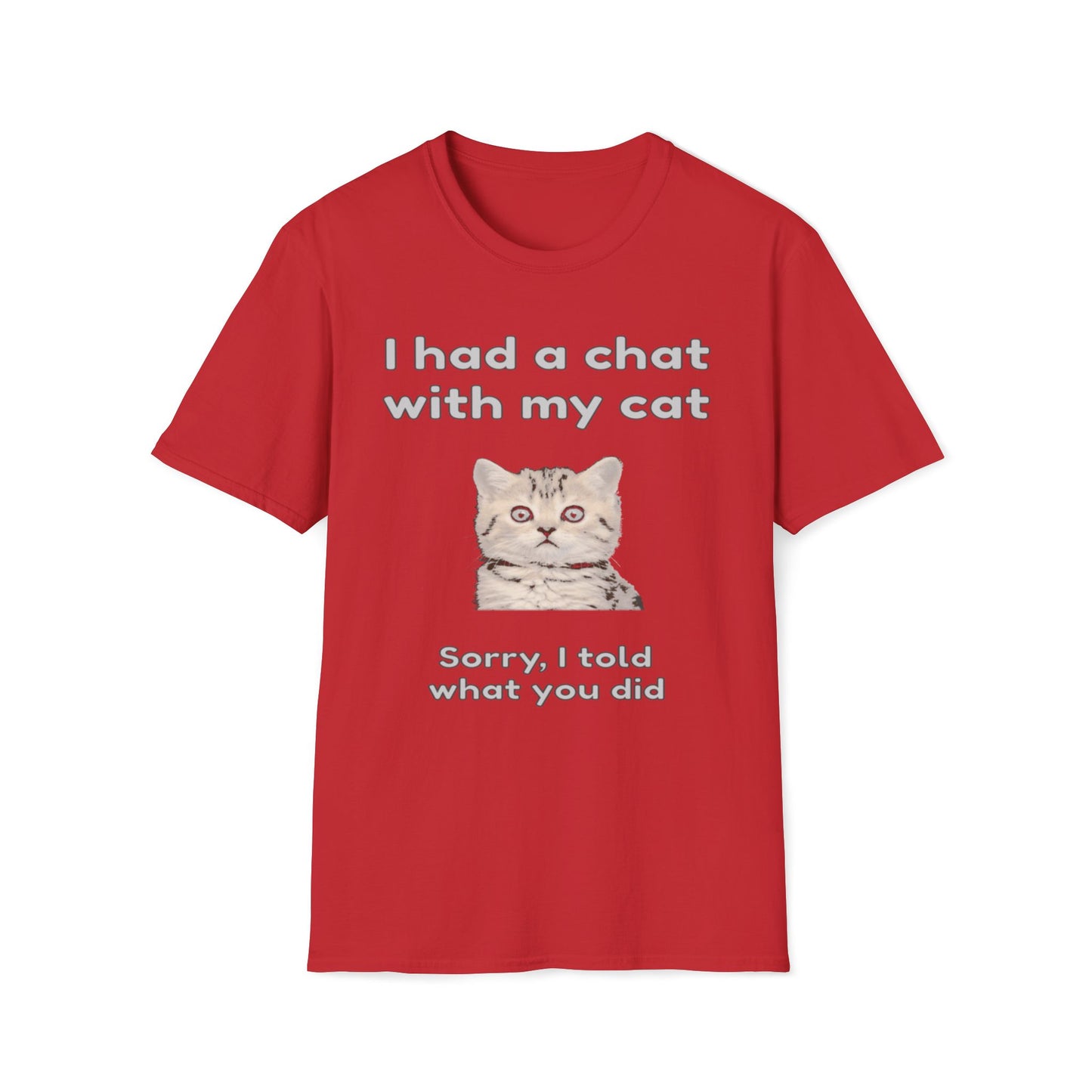 I Had A Chat With My Cat - Sorry, I Told What You Did T-Shirt