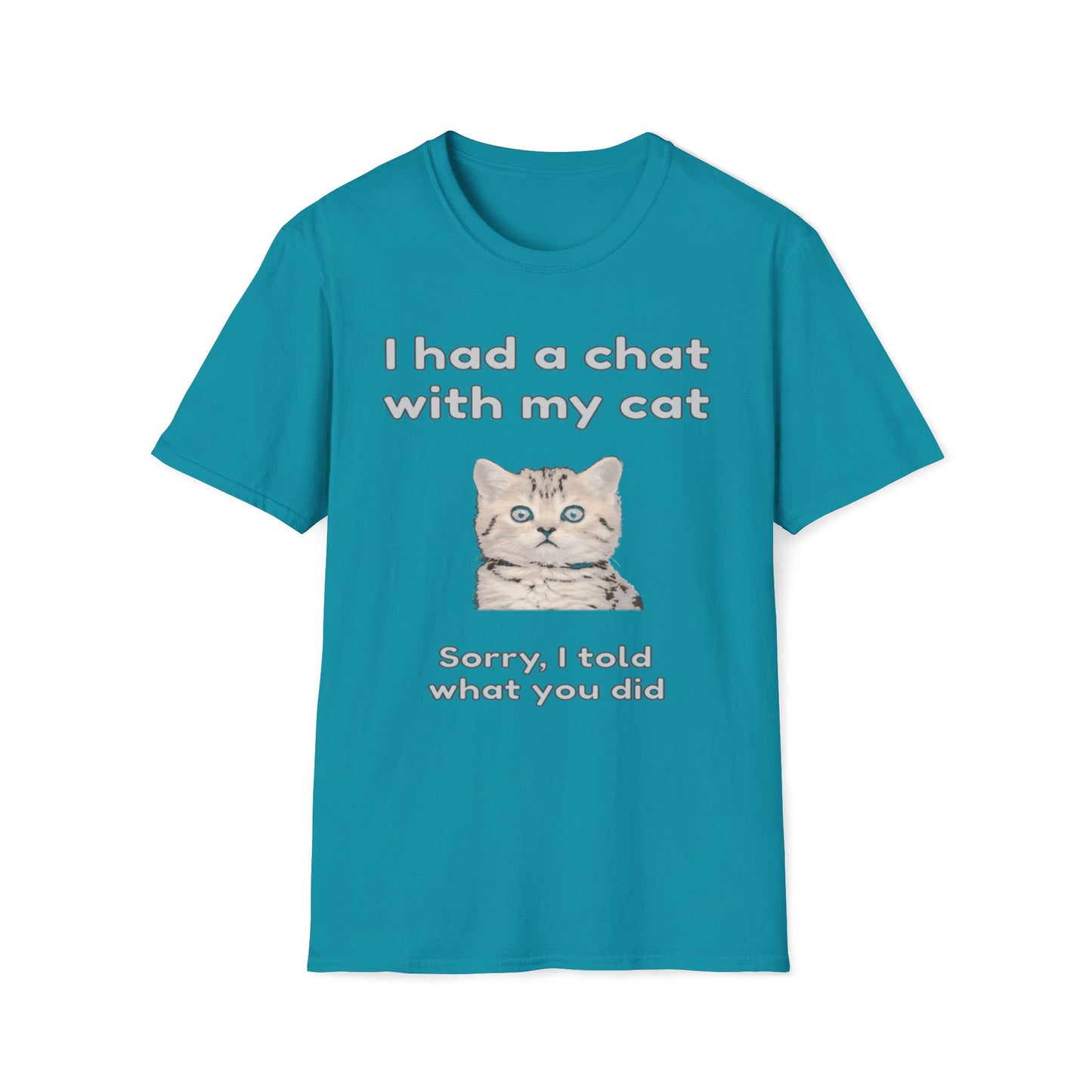 I Had A Chat With My Cat - Sorry, I Told What You Did T-Shirt