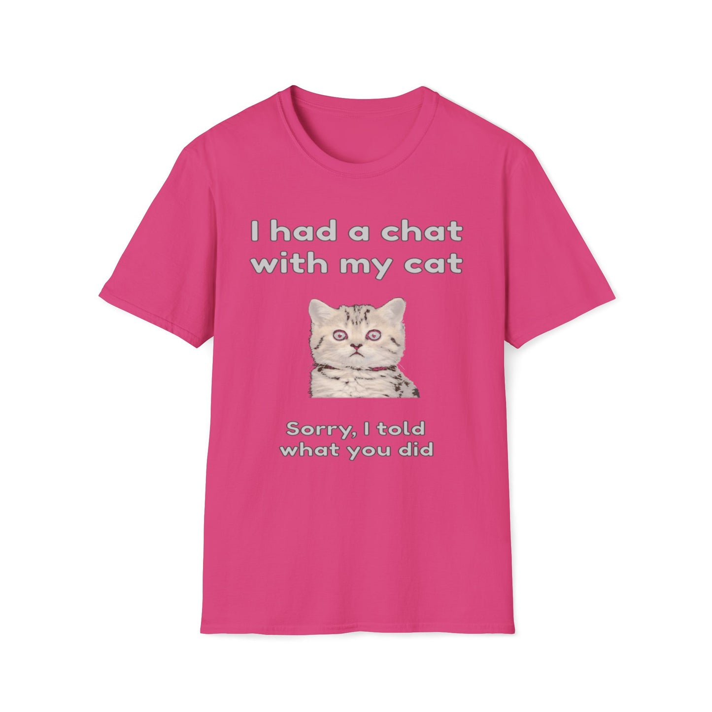 I Had A Chat With My Cat - Sorry, I Told What You Did T-Shirt